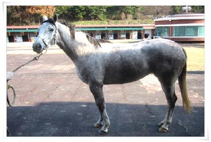 ưư���� ����