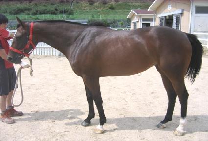 ����õ�� ����