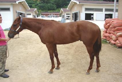 ���Ѵ�� ����