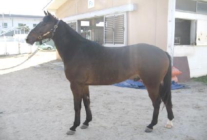 �����Ƹ��� ����