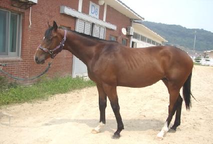 ����� ����