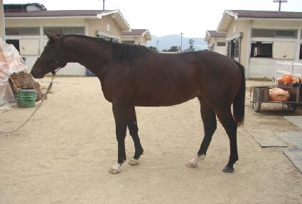 �׷���ŷ ����