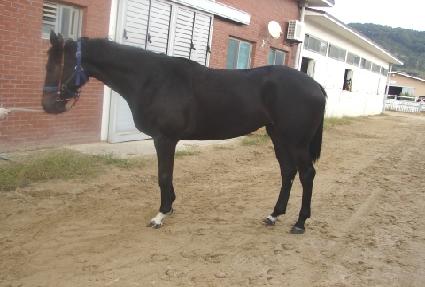 ��õ���� ����