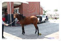 ���ϵ�ĳó (WILD CATCHER) ����