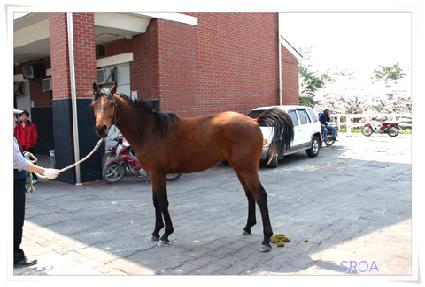 ���ϵ�ĳó ����