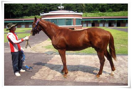 ������ġ�� ����