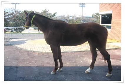 �߿���ǳ ����