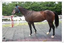 �ƿ����ĵ� (OUTSTANDING) ����