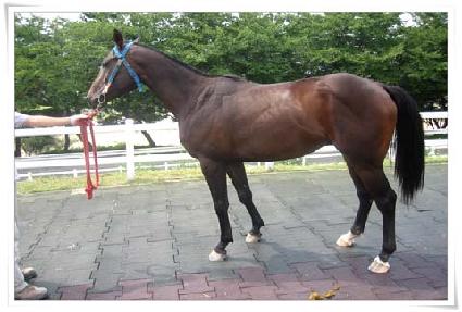 �ƿ����ĵ� ����