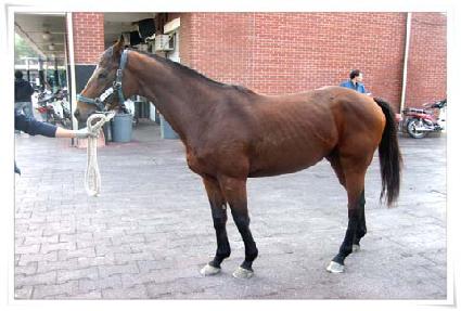 �ߺ��� ����