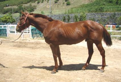 ����۷��̵� ����