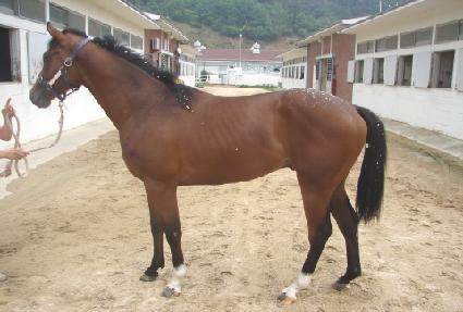 ������Ż�귯 ����