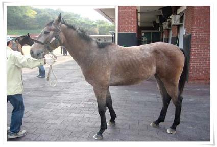 ��� ����