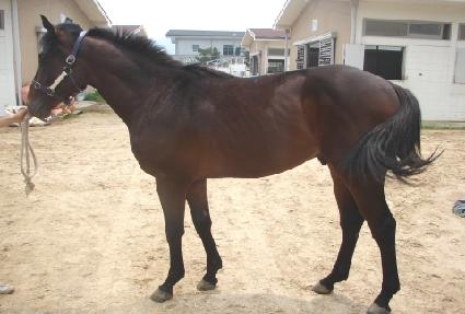 ���ǽ�Ʈ���� ����