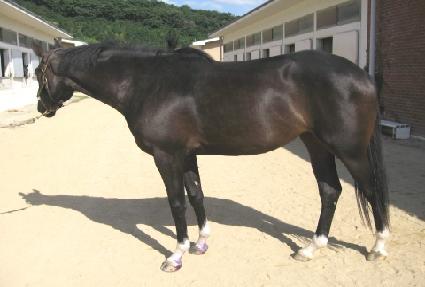 û�ʷ� ����