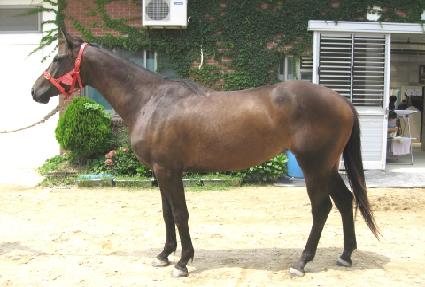 ����� ����