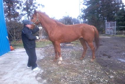 ������� ����