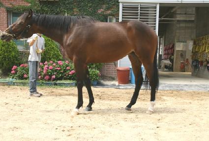 ������ ����