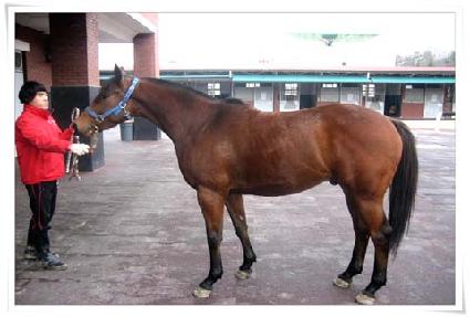 ����콺 ����