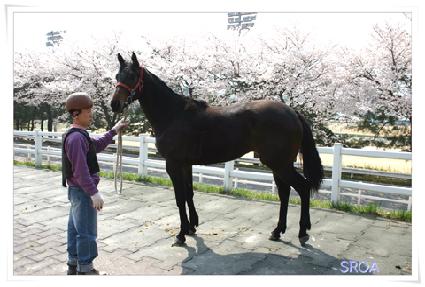 ���������� ����