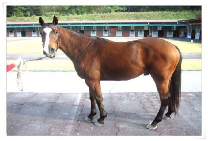 �������� ����