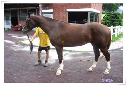 �ٶ�¸�ŭ ����