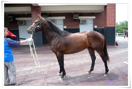 ��決�� ����