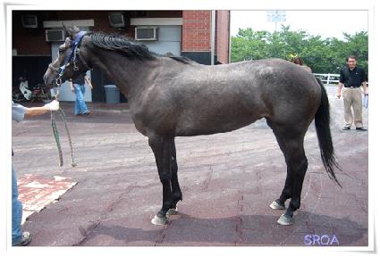 ����� ����