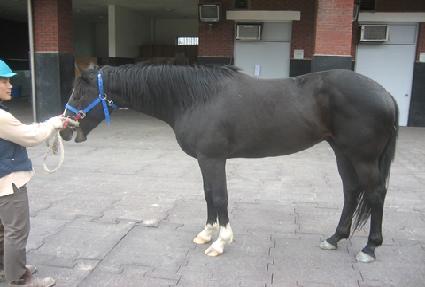 �ְ��� ����