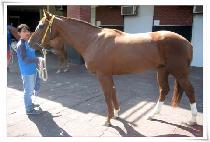 �����ڸ��� (EUTTEUM KOREA) ����