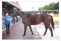 ���α׸� (LANE GREEN) ����