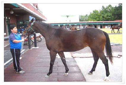 ���α׸� ����