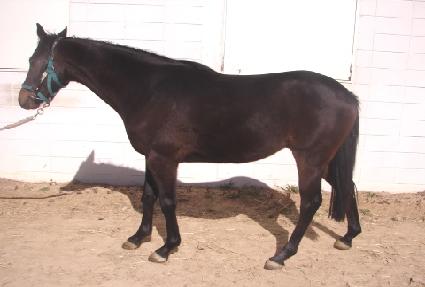 Ŵ�ļ��� ����