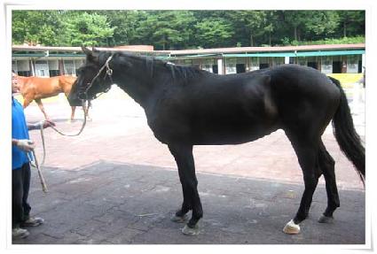 ���丮 ����