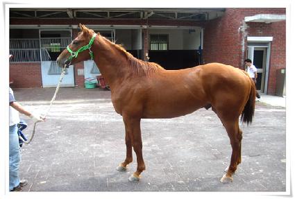 ������ ����