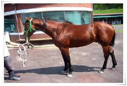 ����� ����