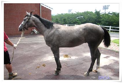 �ǹ��� ����