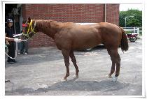 ������Ʈ (TEN POINT) ����