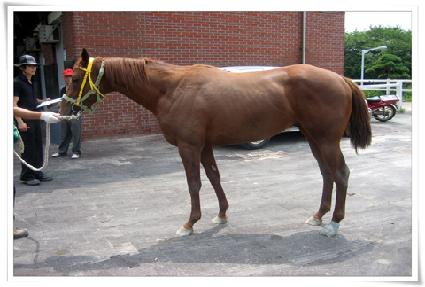 ������Ʈ ����