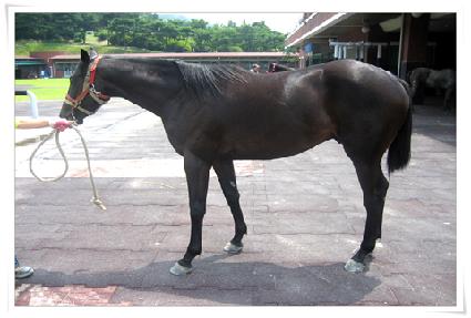 ��ô ����