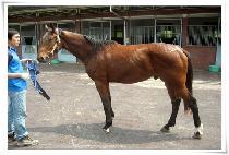 ���ǿ������ (QUESTION OF OWNER) ����