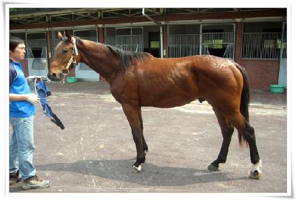 ���ǿ������ ����