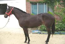 �Ƹ��׹̽� (ARTEMIS) ����