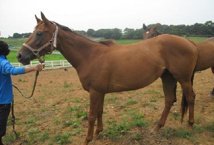 �����ڸ� ����