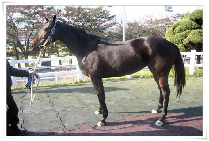 Ƽ��Ƽ ����