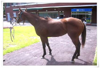 �븧��ġ ����