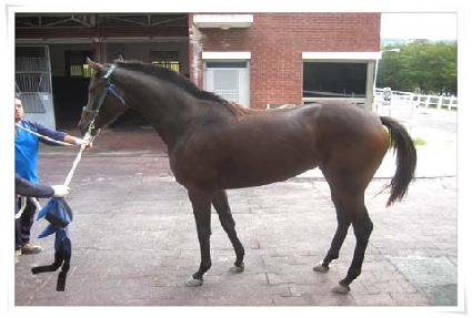 ���ɼ��� ����