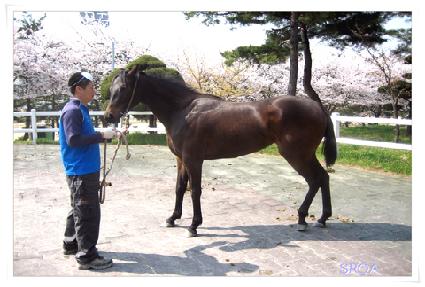 ����� ����