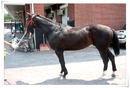 ���¯ ����