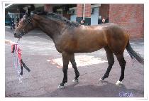 ��濩�� (BIRYONGYEOJE) ����